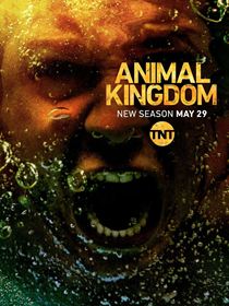 Animal Kingdom SAISON 3