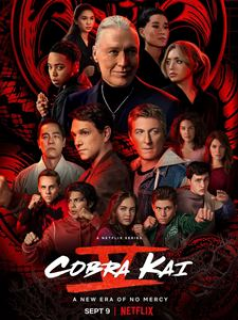 Cobra Kai SAISON 5