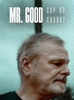 Mr. Good : Flic ou baron ? SAISON 1