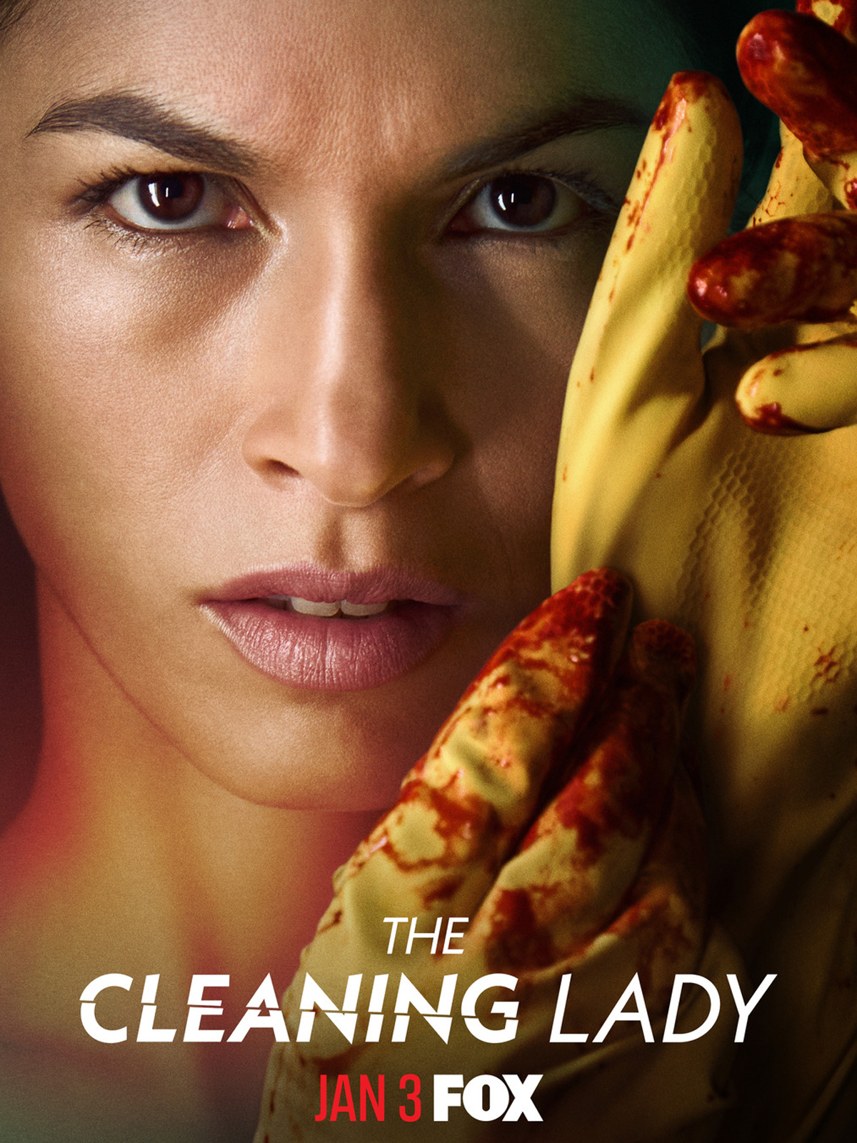 The Cleaning Lady SAISON 2